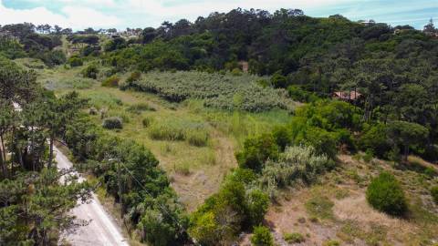 Terreno Rustico com 3.000m2 em Colares