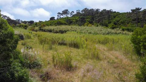 Terreno Rustico com 3.000m2 em Colares