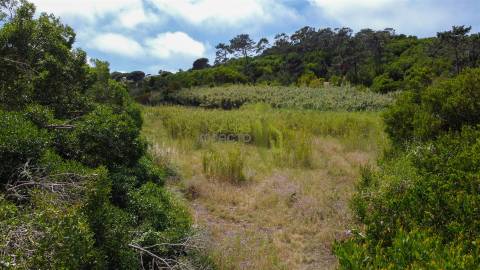 Terreno Rustico com 3.000m2 em Colares