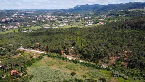 Terreno Rustico com 3.000m2 em Colares