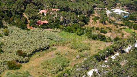 Terreno Rustico com 3.000m2 em Colares