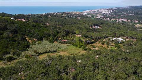Terreno Rustico com 3.000m2 em Colares