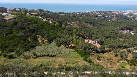 Terreno Rustico com 3.000m2 em Colares
