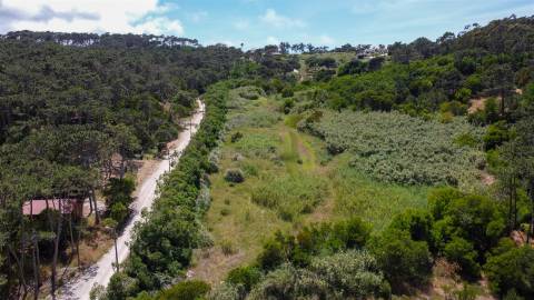 Terreno Rustico com 3.000m2 em Colares