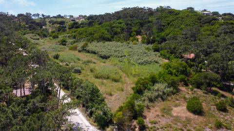 Terreno Rustico com 3.000m2 em Colares