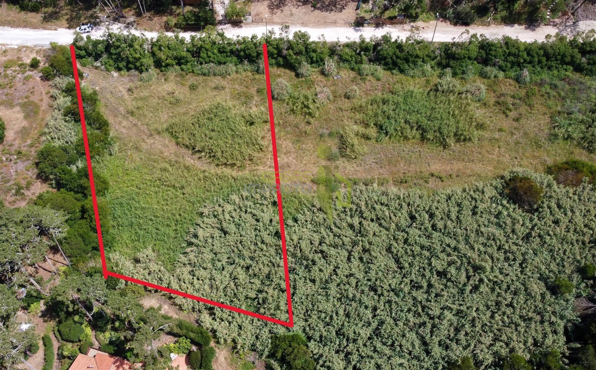 Terreno Rustico com 3.000m2 em Colares