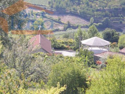 Quinta do Outeiro de Cima "Potencial Turismo Rural"