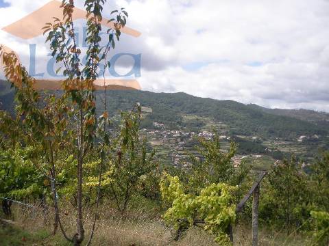 Quinta do Outeiro de Cima "Potencial Turismo Rural"