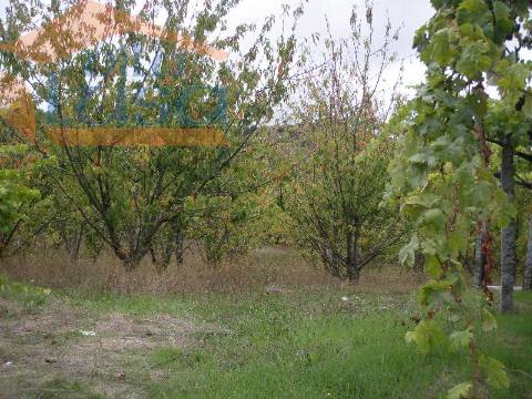 Quinta do Outeiro de Cima "Potencial Turismo Rural"
