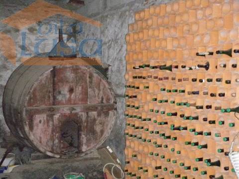 Quinta do Outeiro de Cima "Potencial Turismo Rural"