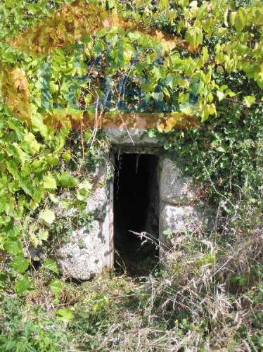 Quinta do Outeiro de Cima "Potencial Turismo Rural"