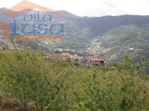 Quinta do Outeiro de Cima "Potencial Turismo Rural"