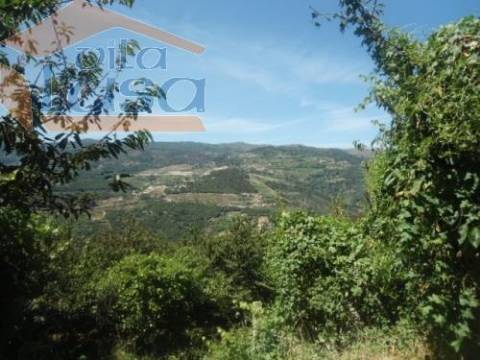 Quinta e moradia e outras