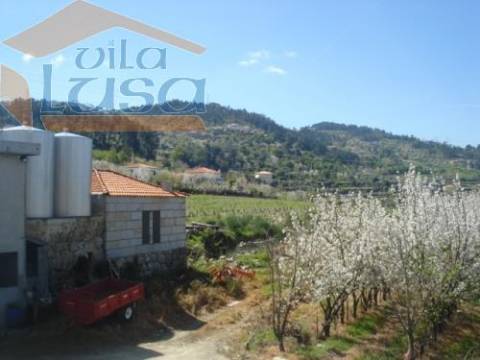 Quinta e moradia e outras