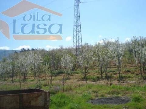 Quinta e moradia e outras