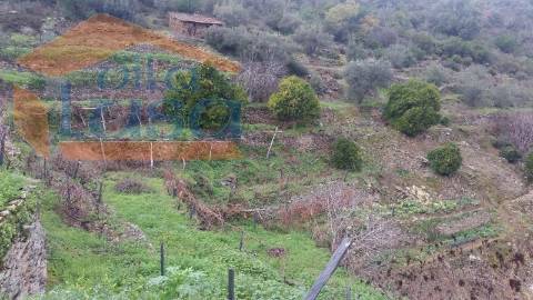Quintinha em Santo Adrião