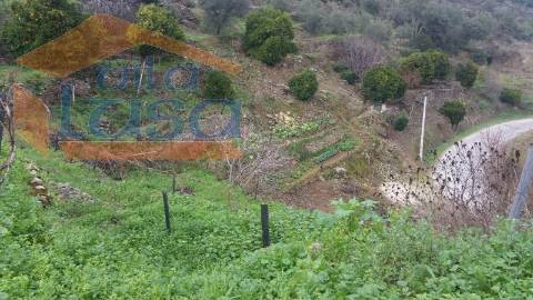 Quintinha em Santo Adrião