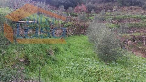 Quintinha em Santo Adrião