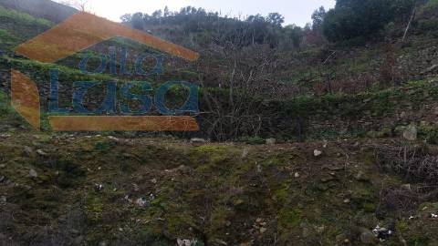Quintinha em Santo Adrião