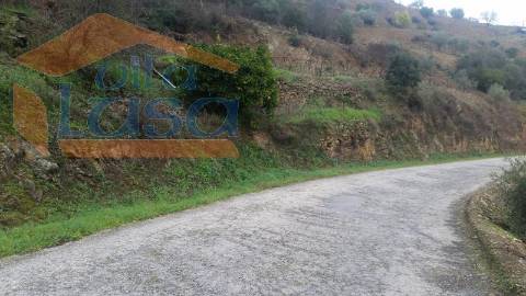 Quintinha em Santo Adrião