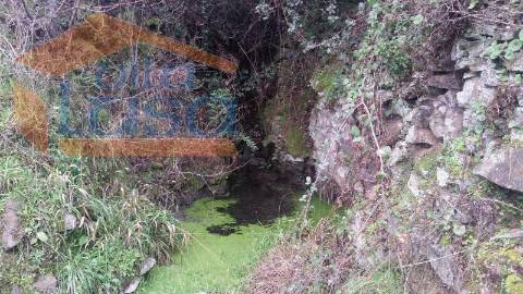 Quintinha em Santo Adrião