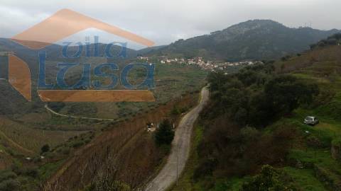 Quintinha em Santo Adrião