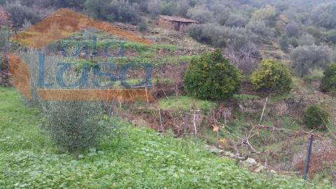 Quintinha em Santo Adrião