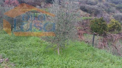 Quintinha em Santo Adrião