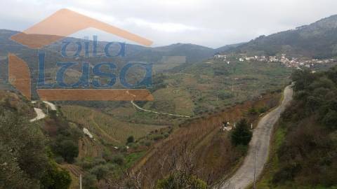 Quintinha em Santo Adrião