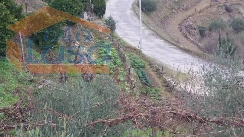 Quintinha em Santo Adrião