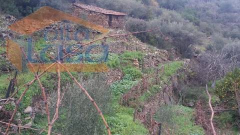 Quintinha em Santo Adrião