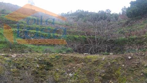 Quintinha em Santo Adrião