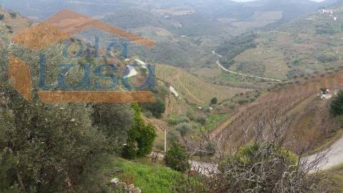 Quintinha em Santo Adrião