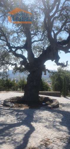 Terreno com paisagem para a Vila