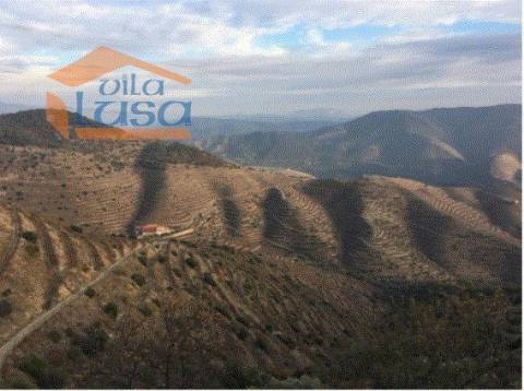 Quinta no Douro Superior 70 ha.