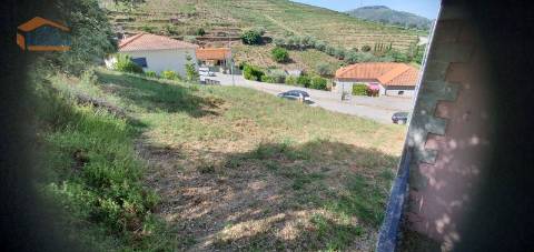 Terreno no Douro - Lameirão - Folgosa