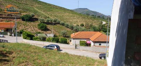Terreno no Douro - Lameirão - Folgosa