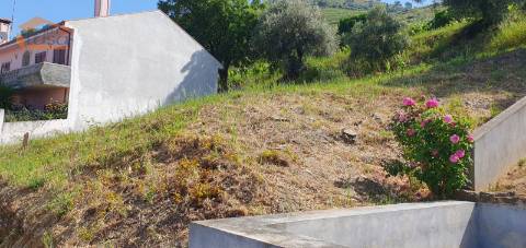 Terreno no Douro - Lameirão - Folgosa