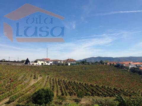 Moradia em Ruinas em Pedra