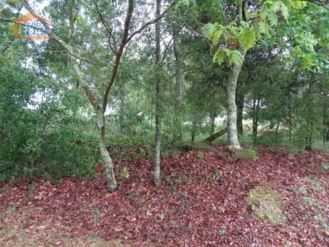 Terreno urbano para construção de moradia geminada em Rio de Loba