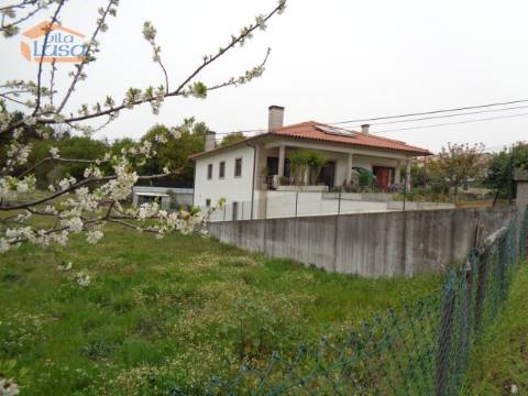 Lote urbano em Mundão