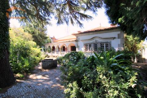 Terreno em Santo Ovídio com 5100m2.