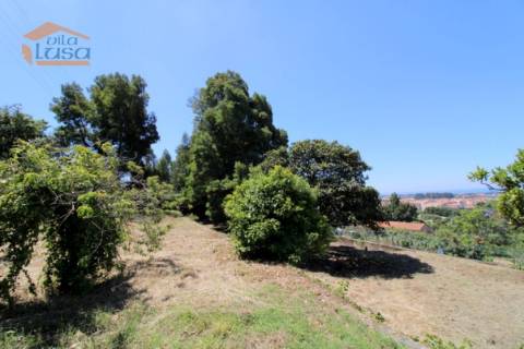 Terreno em Santo Ovídio com 5100m2.