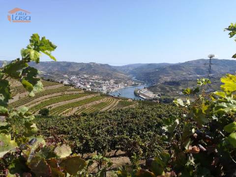 Quinta para venda no Douro