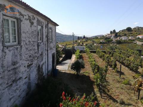 Quinta para venda no Douro