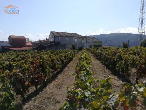 Quinta para venda no Douro