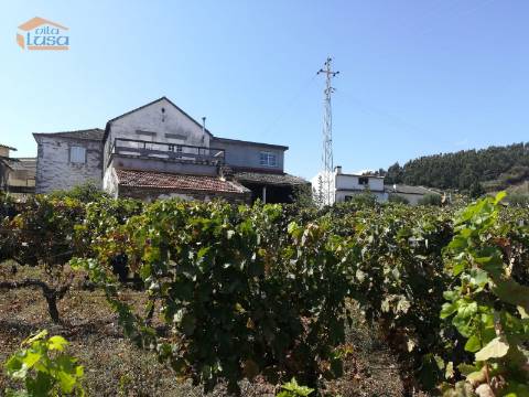 Quinta para venda no Douro