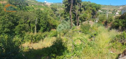 Moradia e terreno agrícola  de regadio 