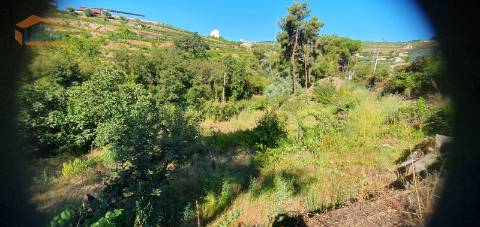 Moradia e terreno agrícola  de regadio 