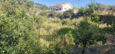 Moradia e terreno agrícola  de regadio 